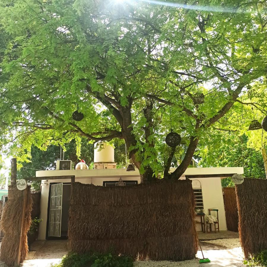 Casa Arte Bacalar Exterior photo